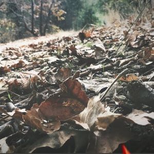 Meet your Posher, Krysta